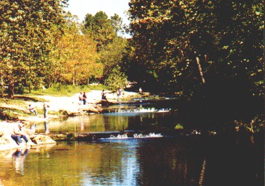 rr99901.jpg